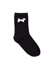 Köpek Jakarlı Soket Çorap W26CRP010