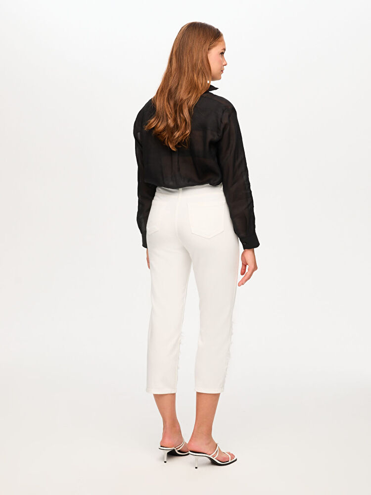 US26JCP00673_4.jpg